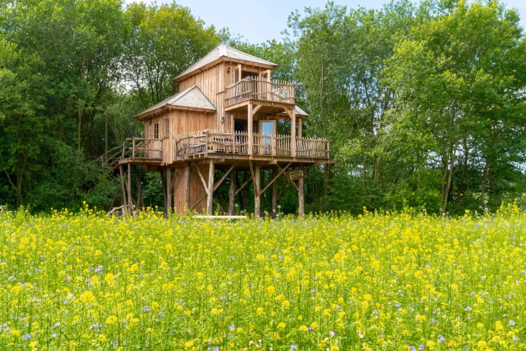 Uniek Overnachten: Boomhut voor max 6 personen in Drenthe