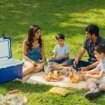 Een gezin, moeder, vader, zoon en dochter hebben op een mooie zomerse dag op het gras een picknick. Om het eten en drinken koel te houden hebben ze een koelbox.