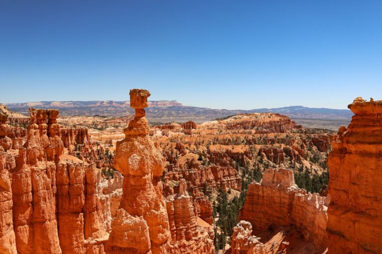 Hoodoos in Bryce Canyon National Park tijdens een helder moment