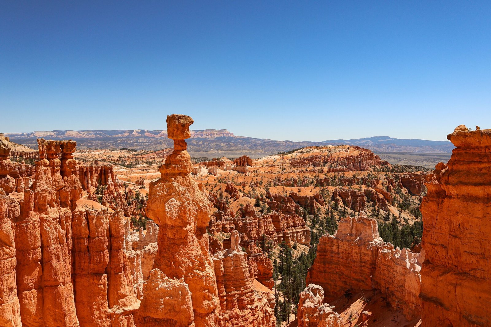 Hoodoos in Bryce Canyon National Park tijdens een helder moment