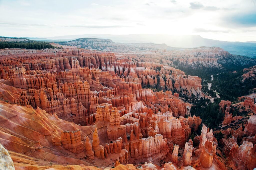 Rode hoodoos in Bryce Canyon National Park in Utah