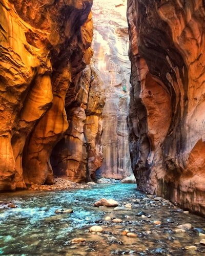 The Narrows in Zion National Park. 