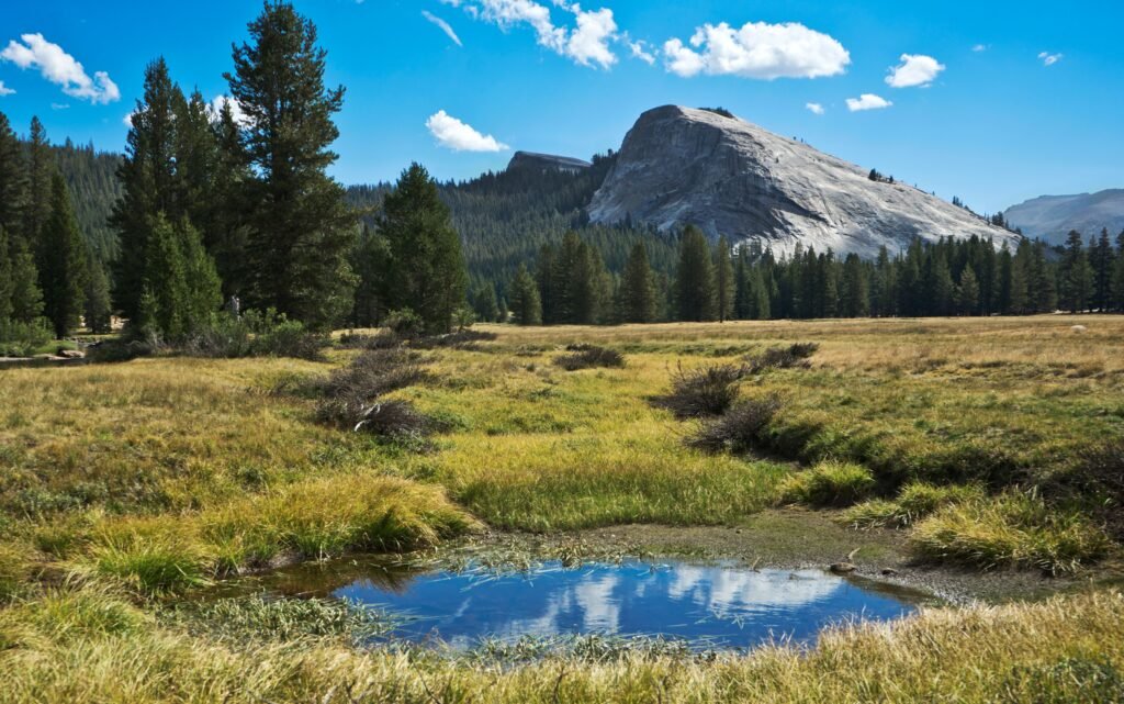 Soda Springs langs de Tioga Road in Yosemite National Park, waar natuurlijk koolzuurhoudend water uit de grond borrelt in Tuolumne Meadows.