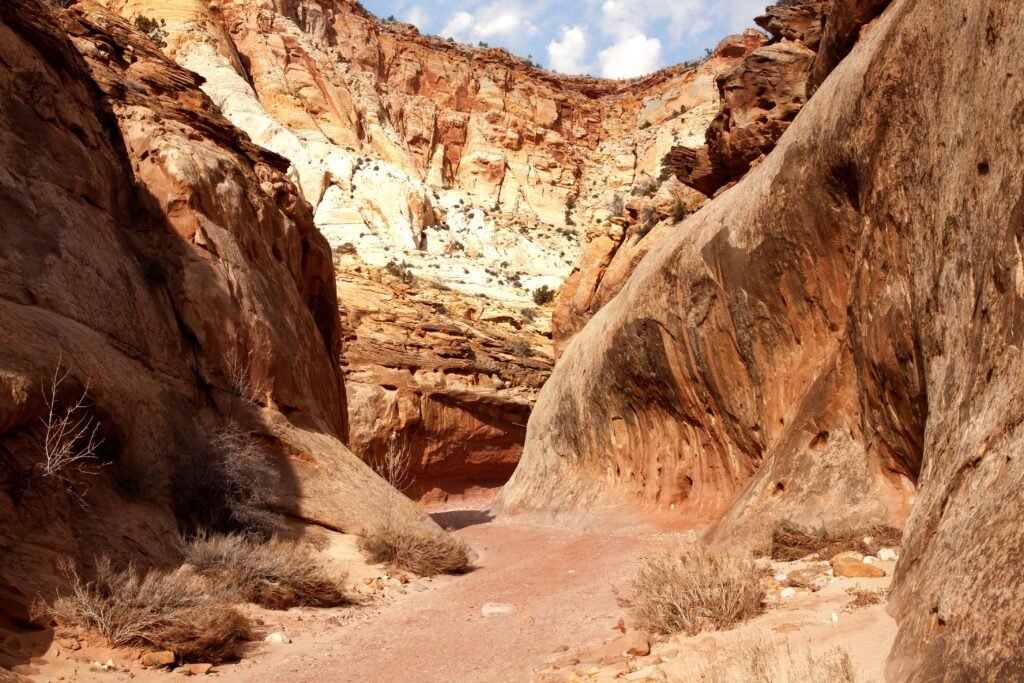 Wandelpad door Capital Gorge met hoge canyonwanden in Capitol Reef National Park