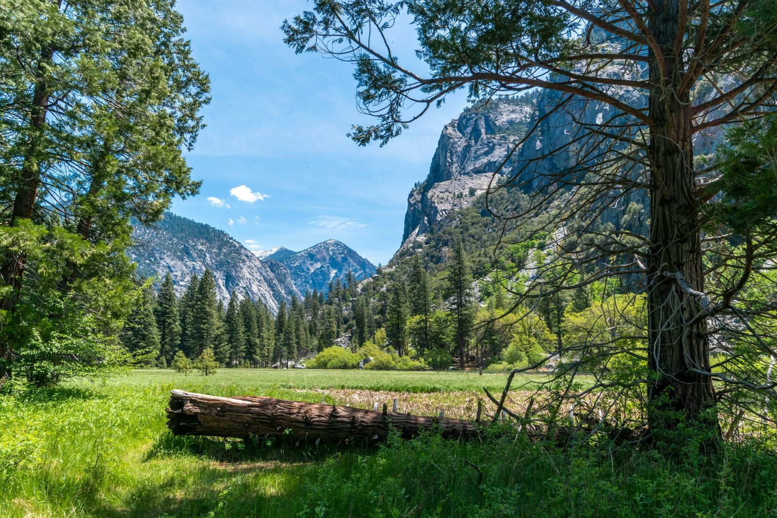 Kings Canyon National Park